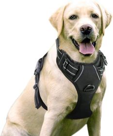 Dog Harness; No-Pull Pet Harness with 2 Leash Clips; Adjustable Soft Padded Dog Vest; Reflective No-Choke Pet Oxford Vest with Easy Control Handl (Color: Bright Pumpkin, size: small)